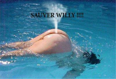 Sauvez Willy